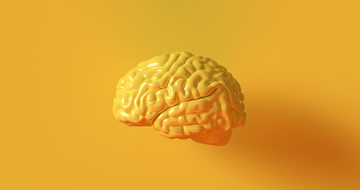 Sans Forgetica : une typo pour le cerveau ! Sans Forgetica : une typo pour le cerveau !