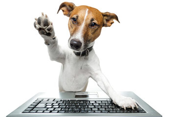 URL, je crie ton nom URL, je crie ton nom