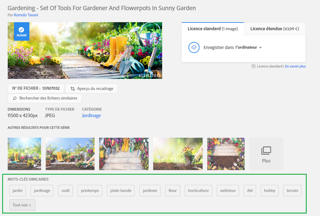 Adobe-Stock-recherche-photo