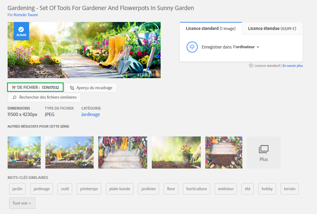 Recherche-photo-Adobe-Stock