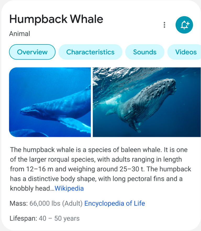 affichage-mobile-google-2021