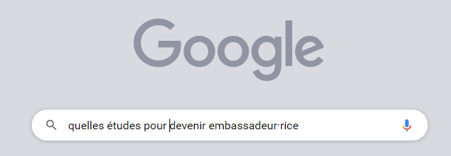 exemplerechercheinclusive