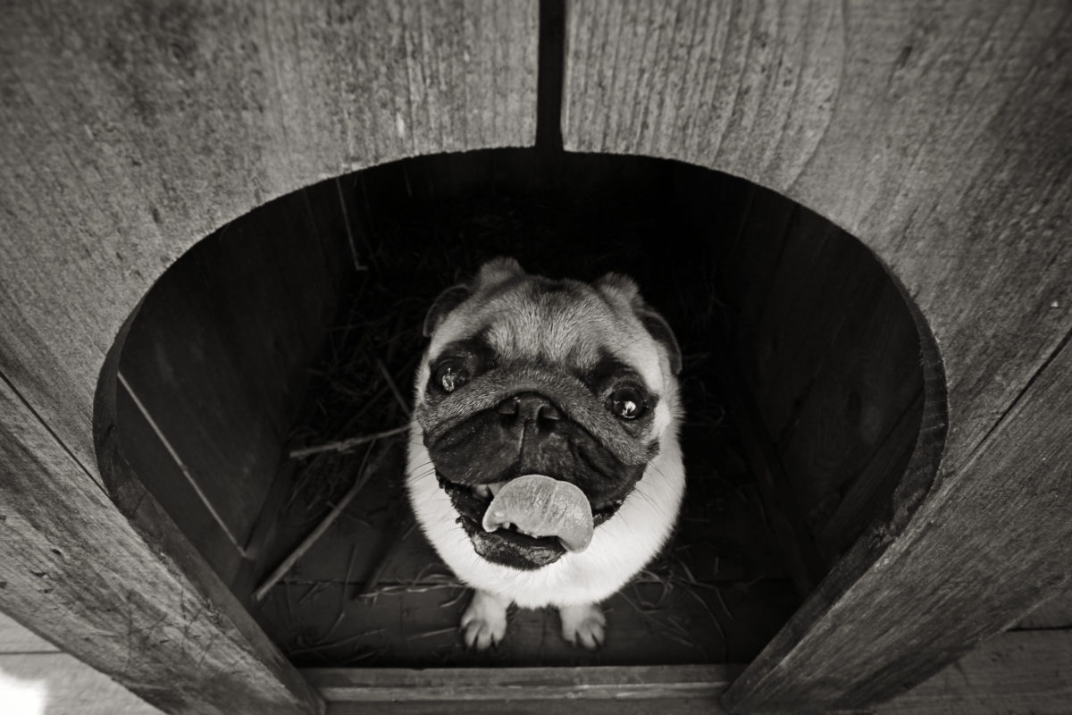 niche-referencement-1200x800-1