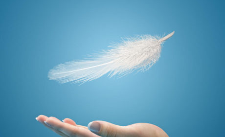 Optimiser ses images sur le web en 3 leçons